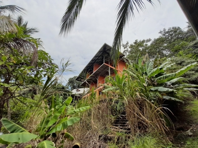 Seller says open to any offer, Oceanfront Panama! - image 11