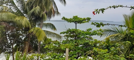 Seller says open to any offer, Oceanfront Panama! - image 17