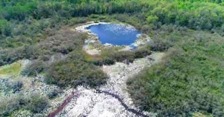 Land For Sale in Holmes County, Florida - image 35