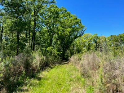 Land For Sale in Holmes County, Florida - image 22