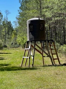 Land For Sale in Holmes County, Florida - image 15
