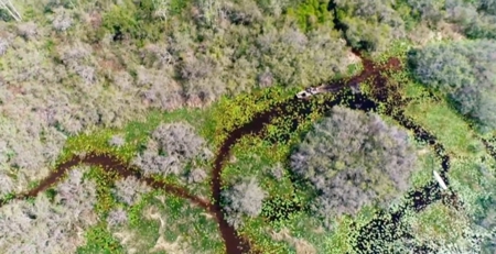 Land For Sale in Holmes County, Florida - image 33