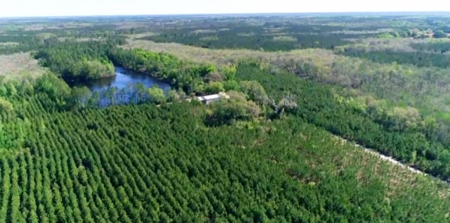 Land For Sale in Holmes County, Florida - image 38
