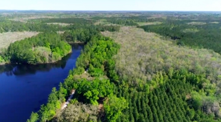 Land For Sale in Holmes County, Florida - image 40