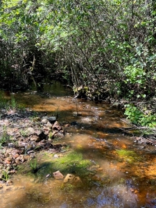 Land For Sale in Holmes County, Florida - image 13