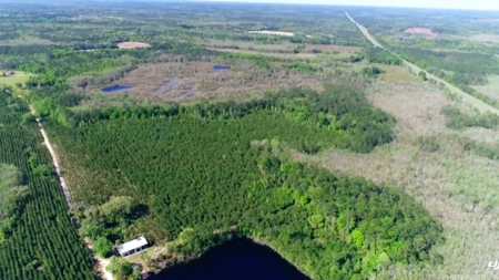 Land For Sale in Holmes County, Florida - image 45