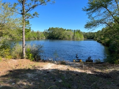Land For Sale in Holmes County, Florida - image 1