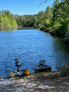 Land For Sale in Holmes County, Florida - image 2