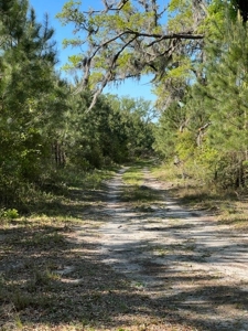 Land For Sale in Holmes County, Florida - image 5