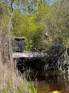 Land For Sale in Holmes County, Florida - image 6