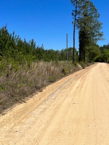 Land For Sale in Holmes County, Florida - image 27