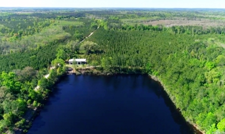 Land For Sale in Holmes County, Florida - image 41