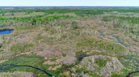Land For Sale in Holmes County, Florida - image 36