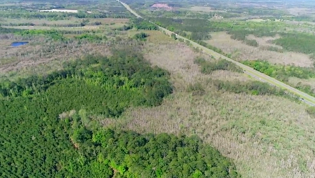 Land For Sale in Holmes County, Florida - image 44