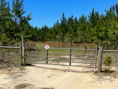 Land For Sale in Holmes County, Florida - image 26