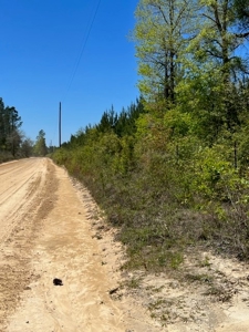 Land For Sale in Holmes County, Florida - image 28