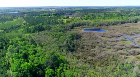 Land For Sale in Holmes County, Florida - image 37