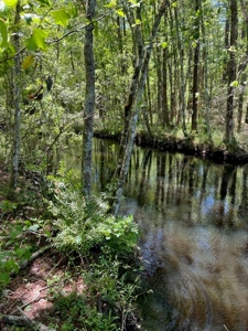 Land For Sale in Holmes County, Florida - image 23