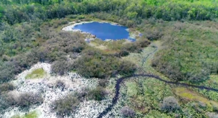 Land For Sale in Holmes County, Florida - image 34