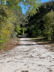 Land For Sale in Holmes County, Florida - image 4