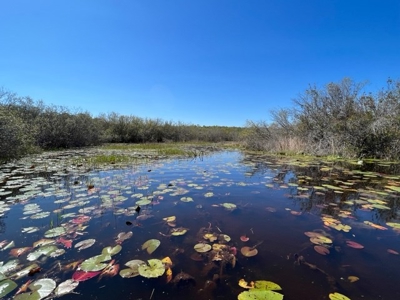 Land For Sale in Holmes County, Florida - image 8