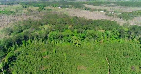 Land For Sale in Holmes County, Florida - image 47