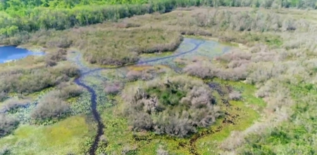 Land For Sale in Holmes County, Florida - image 31
