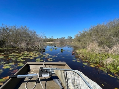 Land For Sale in Holmes County, Florida - image 7