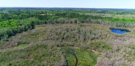 Land For Sale in Holmes County, Florida - image 30