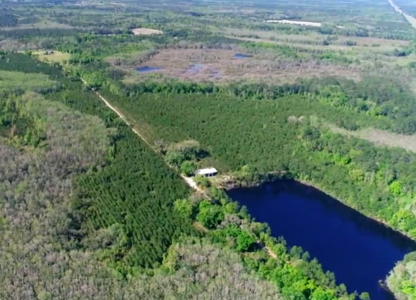 Land For Sale in Holmes County, Florida - image 46