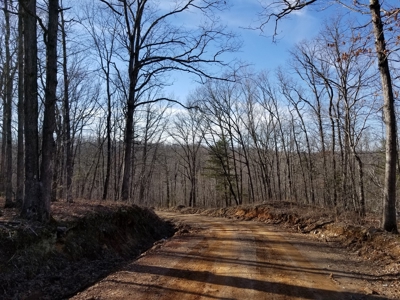 40 Acre Madison County, AR Recreation Property For Sale - image 26