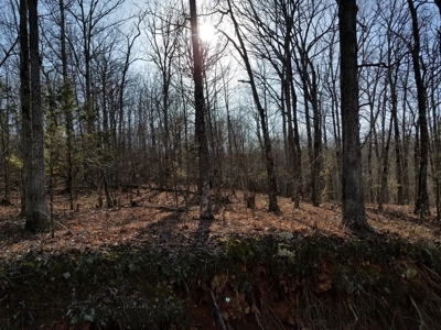 40 Acre Madison County, AR Recreation Property For Sale - image 27