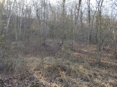 40 Acre Madison County, AR Recreation Property For Sale - image 31
