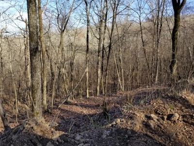 40 Acre Madison County, AR Recreation Property For Sale - image 17