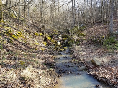 40 Acre Madison County, AR Recreation Property For Sale - image 29
