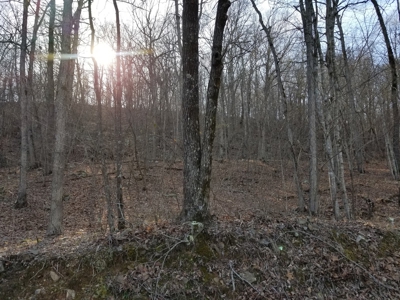 40 Acre Madison County, AR Recreation Property For Sale - image 32