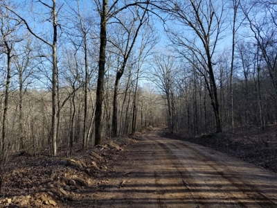 40 Acre Madison County, AR Recreation Property For Sale - image 13