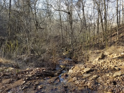 40 Acre Madison County, AR Recreation Property For Sale - image 20