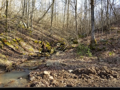 40 Acre Madison County, AR Recreation Property For Sale - image 21
