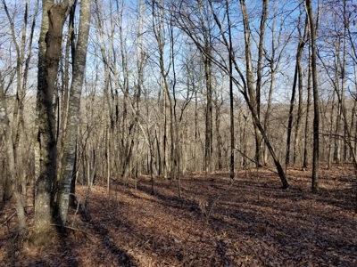 40 Acre Madison County, AR Recreation Property For Sale - image 7