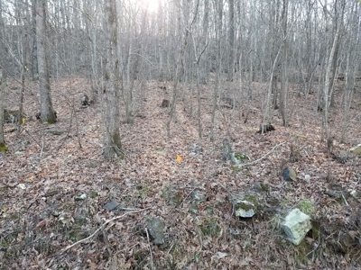 40 Acre Madison County, AR Recreation Property For Sale - image 34