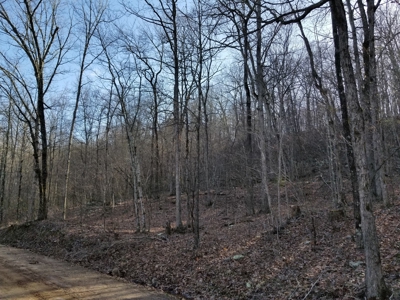 40 Acre Madison County, AR Recreation Property For Sale - image 14