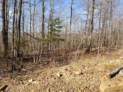 40 Acre Madison County, AR Recreation Property For Sale - image 22