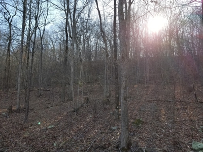 40 Acre Madison County, AR Recreation Property For Sale - image 15