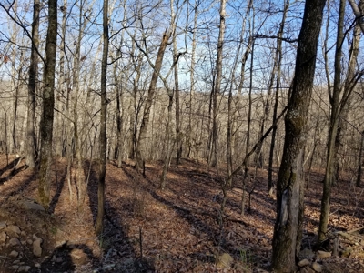40 Acre Madison County, AR Recreation Property For Sale - image 12