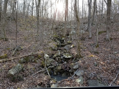 40 Acre Madison County, AR Recreation Property For Sale - image 19