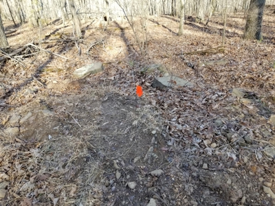 40 Acre Madison County, AR Recreation Property For Sale - image 18