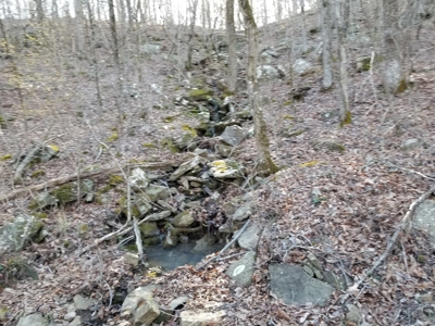 40 Acre Madison County, AR Recreation Property For Sale - image 30