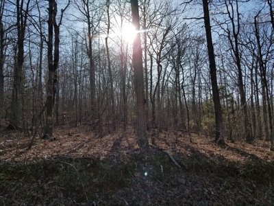 40 Acre Madison County, AR Recreation Property For Sale - image 25