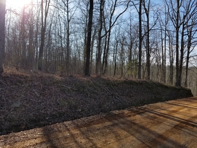 40 Acre Madison County, AR Recreation Property For Sale - image 23